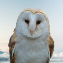 Baran-bse adlı kullanıcı